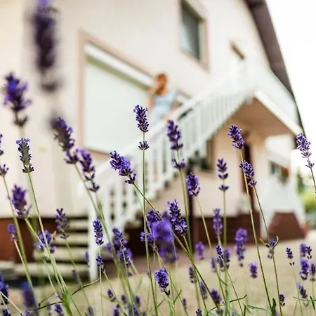 Διαμέρισμα Respect *